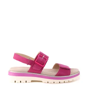 21003 Fuchsia Suede